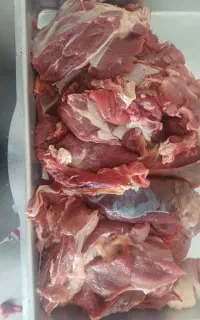 گوشت گوساله