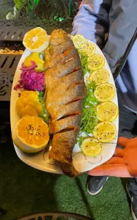 استخدام اشپز