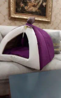 جای خواب و وسیله بازی گربه