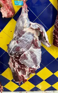 گوشت گوسفند و گوساله درجه یک