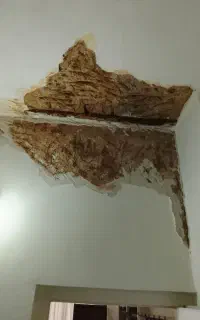 بنایی . بنا. رفع نم .تشخیص نم کاشیکار.گچ کار