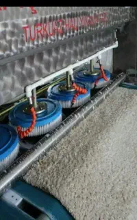 قالیشویی مکانیزه و اتوماتیک ساحل