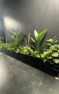 درخت زینتی مدرن فلاور باکس (بنجامین ابلغ)
