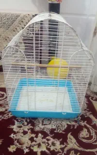قفس پرنده