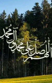 فروش خط تلفن همراه اول دائمی