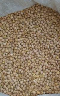 نخود سفید آبگوشتی