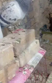کفتر گم شده دوتا نر