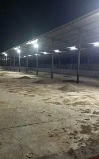 کود حیوانی
