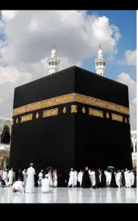 خرید و فروش فیش حج تمتع