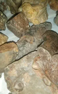 شهاب سنگ آکندرایت مریخی