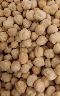 نخود تمیز درجه یک پاک شده