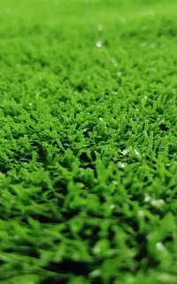 چمن مصنوعی با کیفیت بالا