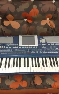 ارگ Pa800 سری ۶۰۳ رم ۲۵۶ ایتالیایی