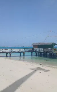 دورهمی جزیره