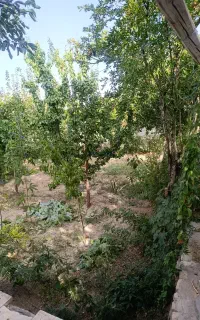 فروش خونه باغ گاریزات