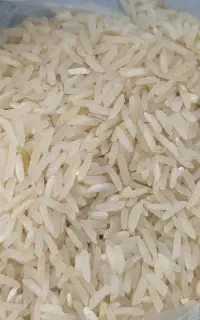 فروش حبوبات