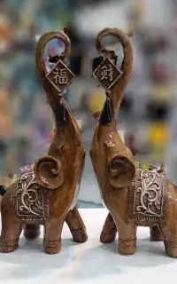 دکوری فیل