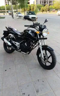 پالس مدل ۸۸ در حد