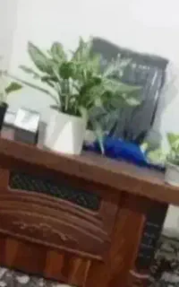امورات ذکر دعا اموات