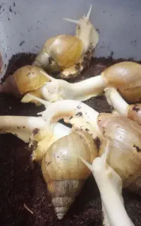 ارزان تر از همه جا