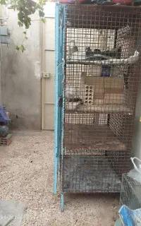 قفس پرنده