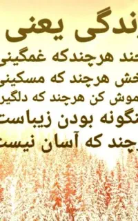 سیم کارت رند