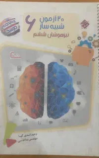 بیست آزمون شبیه ساز