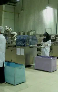 سرمایه گذاری مطمئن