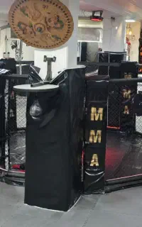 باشگاه تخصصی رزمی میعاد تنها قفس MMA