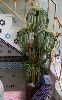 گل و گلدان مصنوعی