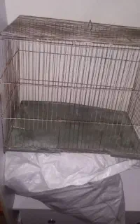 قفس