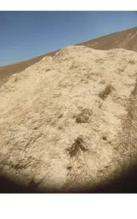 کاه