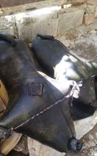 مشک یاهیزه آب