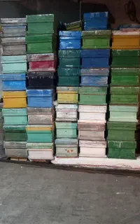 کندو زنبور عسل