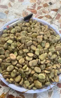 باقالی امساله ۷بند