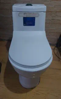 فرنگی در حد نو