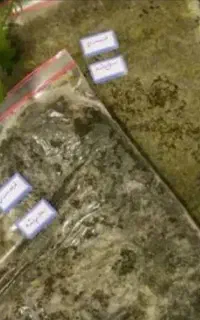 سبزی کده