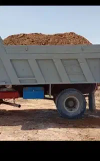کود حیوانی