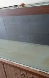 آکواریوم