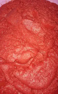 فروش رب گوجه فرنگی پخت روز