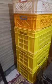 سبد پلاستیکی