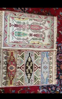 پادری نو