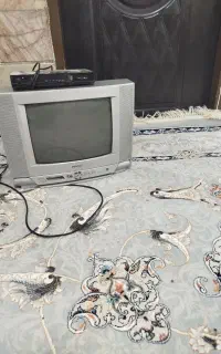 تلویزیون
