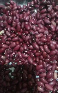 لوبیا تمیز بوجاری شده