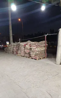 فرش اجاره مناسب برای مراسمات