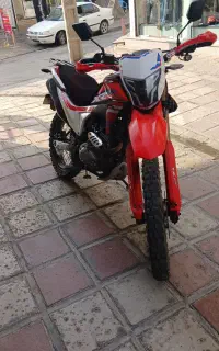 فلات xr250