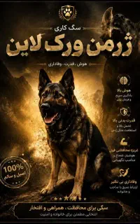 واگذاری توله ماده ورک لاین ( ژرمن ورک )