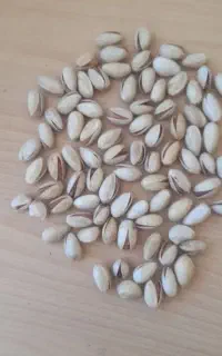 خرید پسته