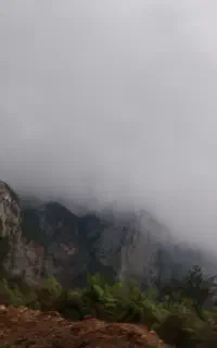 برداشت فندق نصفه ای به صورت نصفه ای