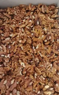 فروش گردو به صورت عمده و خرده